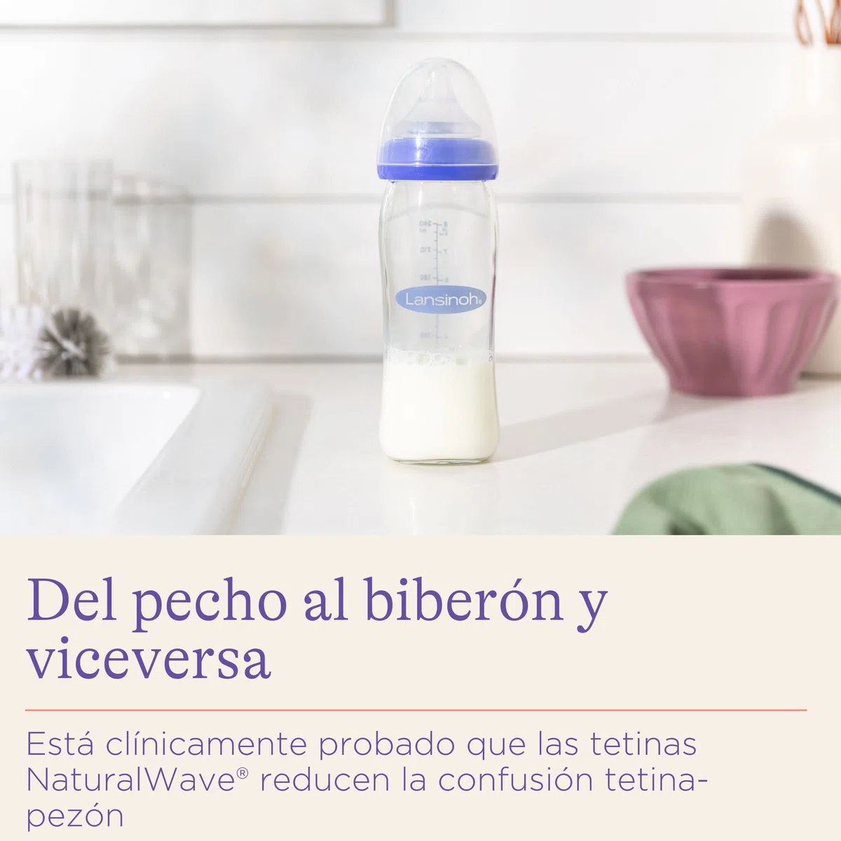 Biberón de Cristal de Lansinoh para Leche Materna con tetina simuladora del pezón, flujo medio, 240 ml/1 Ud., lila/transparente (77250)