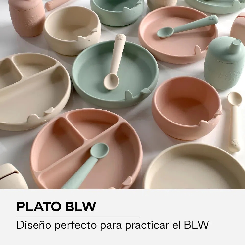 Jané Plato BLW Bebé de Silicona con Ventosa y Compartimentos, Libre BPA, Apto Microondas y Lavavajillas, Verde