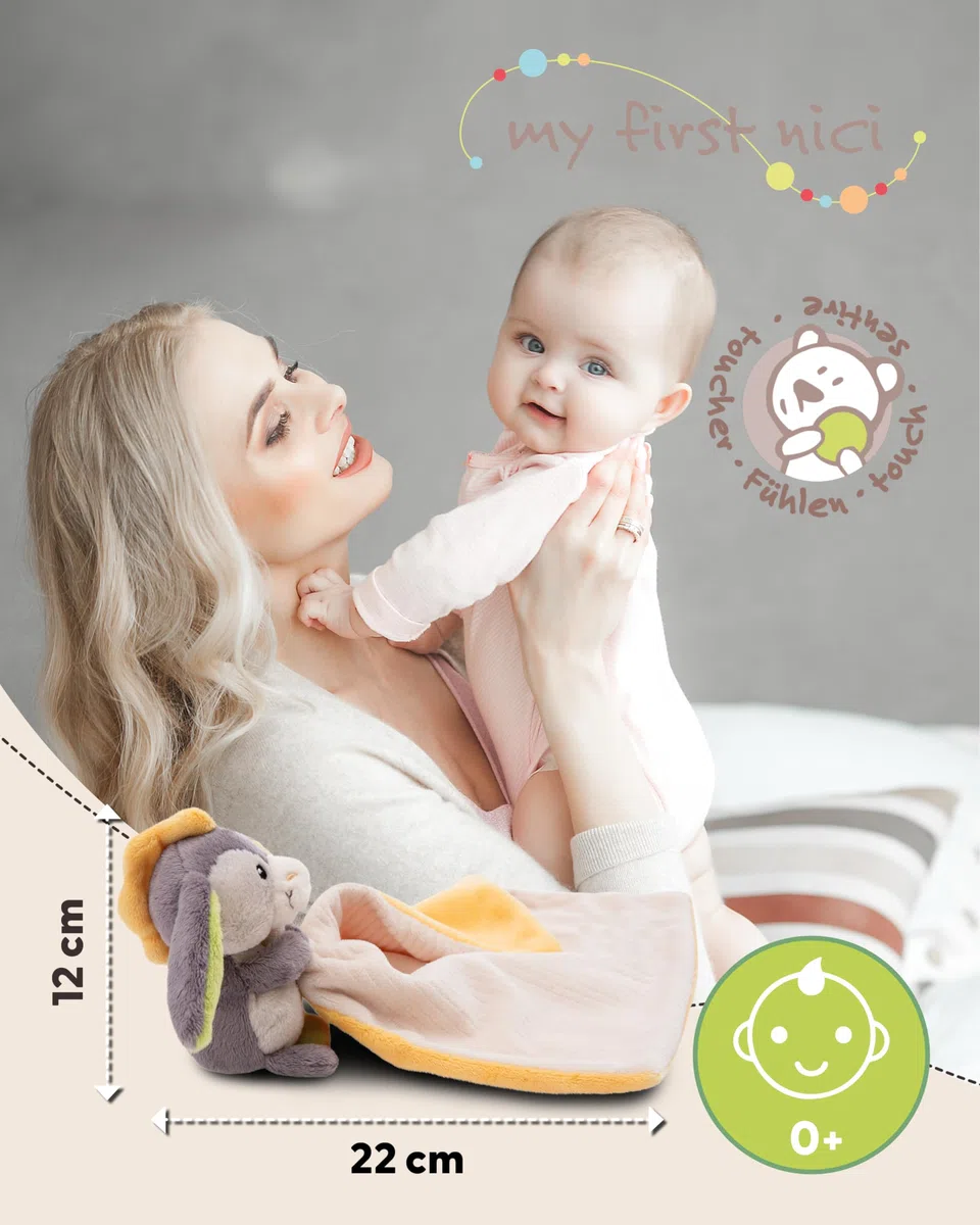 NICI paño de Peluche bebé 22 x 22 cm con Lindo Burrito de Peluche - paño de Peluche para niñas y niños, Regalo de bebé cariñoso para el Nacimiento - 49757